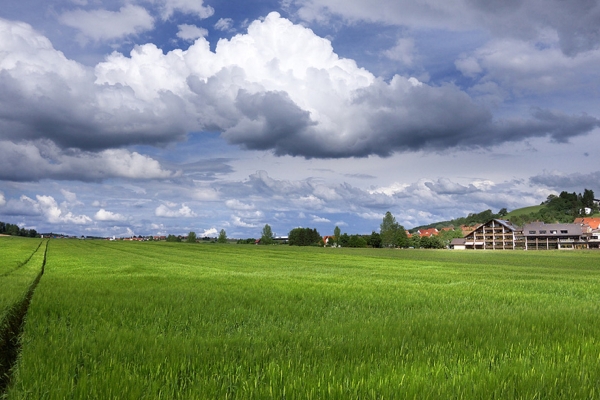 Albhotel Bauder